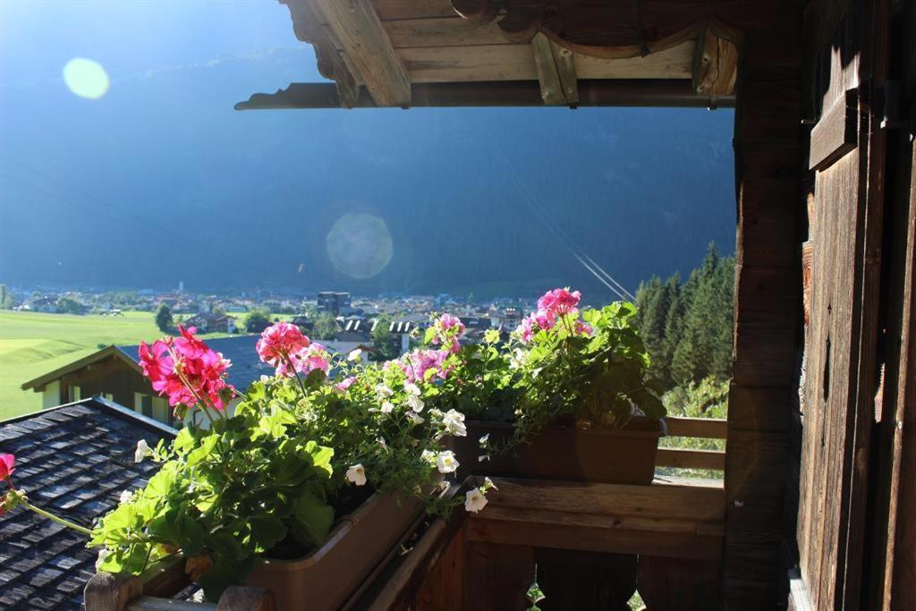 Das Zauberhaft Mayrhofen Kültér fotó