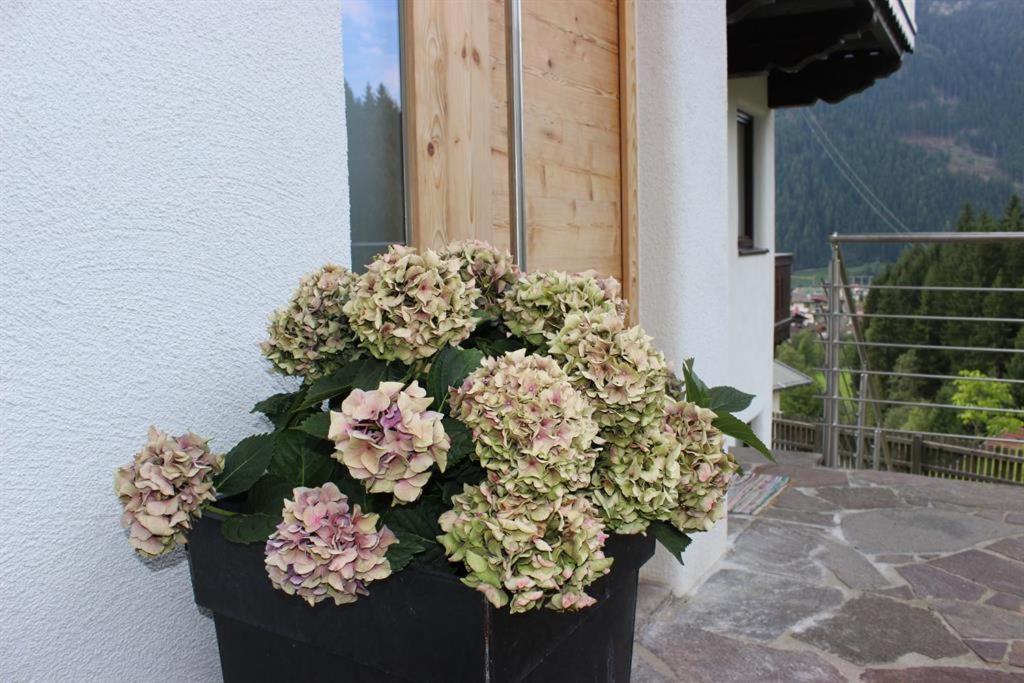 Das Zauberhaft Mayrhofen Kültér fotó