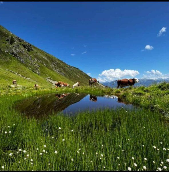 Das Zauberhaft Mayrhofen Kültér fotó